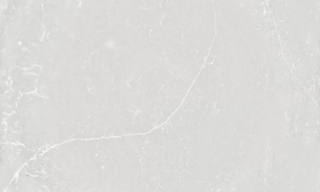 Desert Silver — plātne