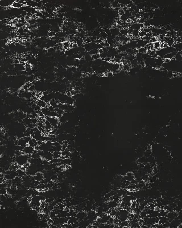 Pearl Delta — plātne