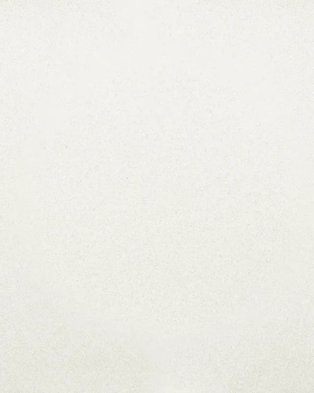 Starlight White — plātne